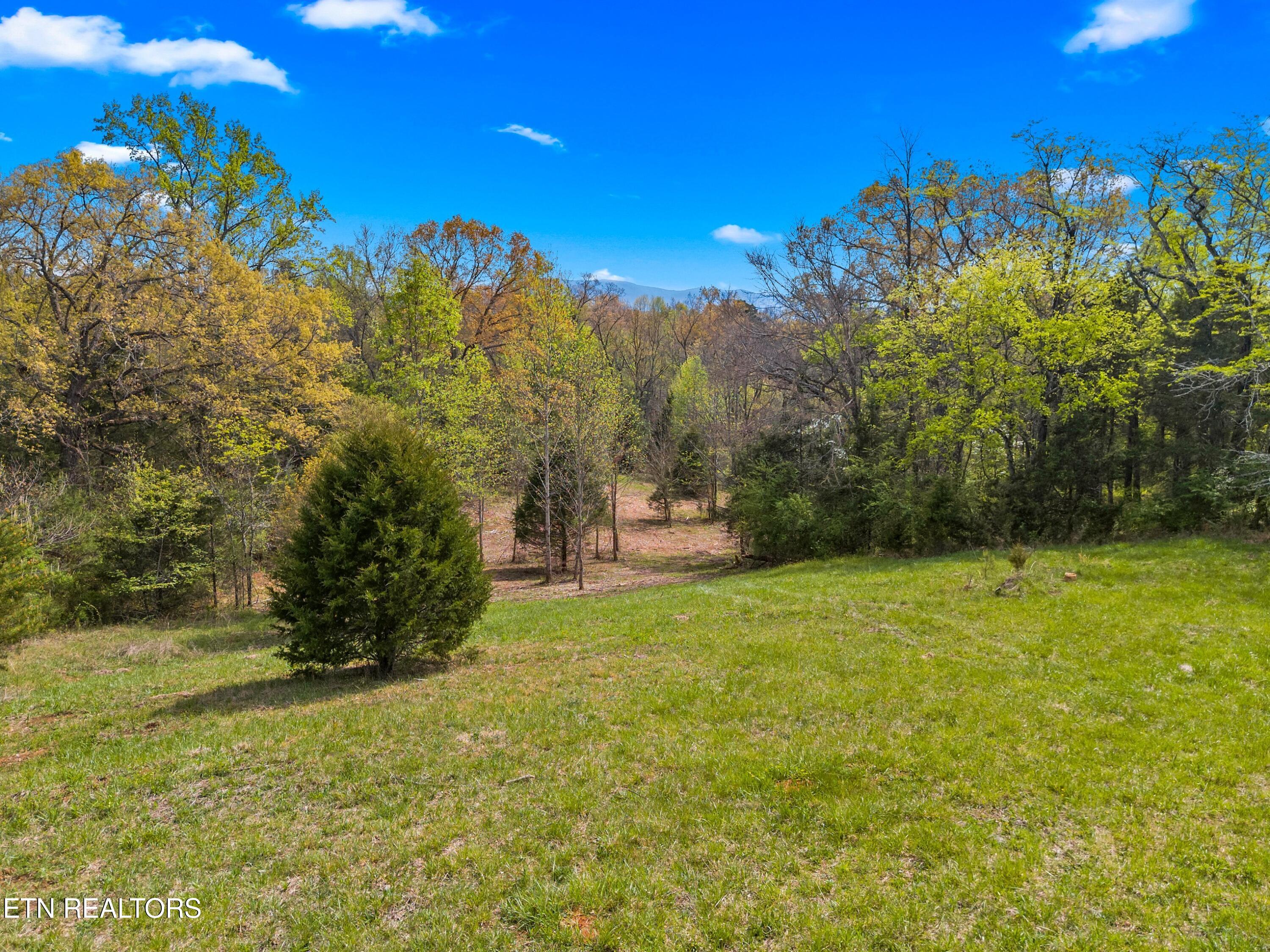 Bogard Road Newport, TN 37821 - Photo 2 of 38 015-BogardRoad-Cosby-TN-SMALL