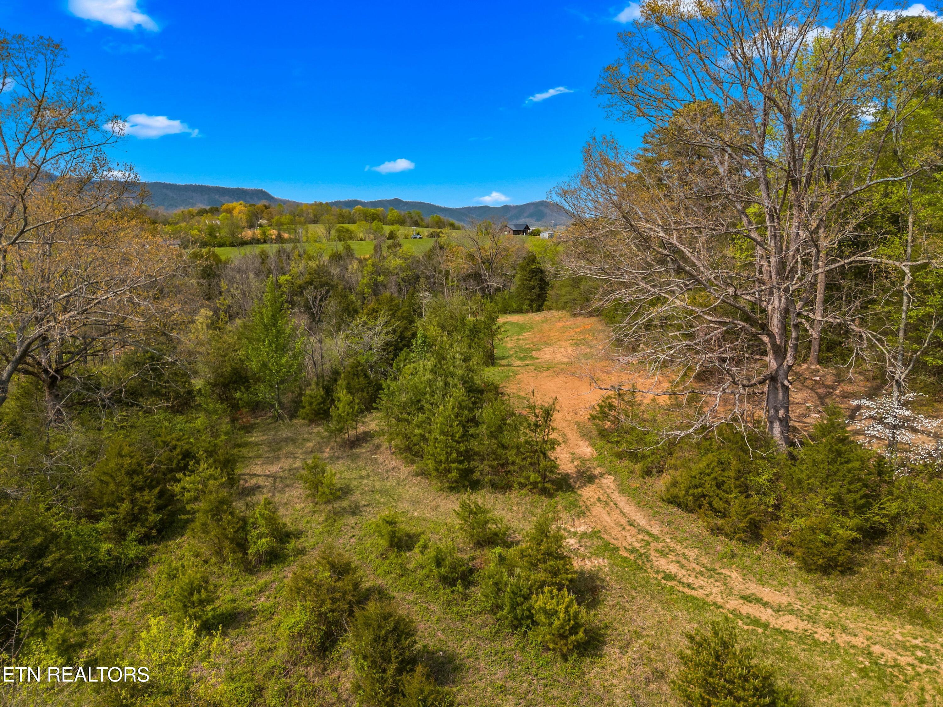 Bogard Road Newport, TN 37821 - Photo 21 of 38 027-BogardRoad-Cosby-TN-SMALL