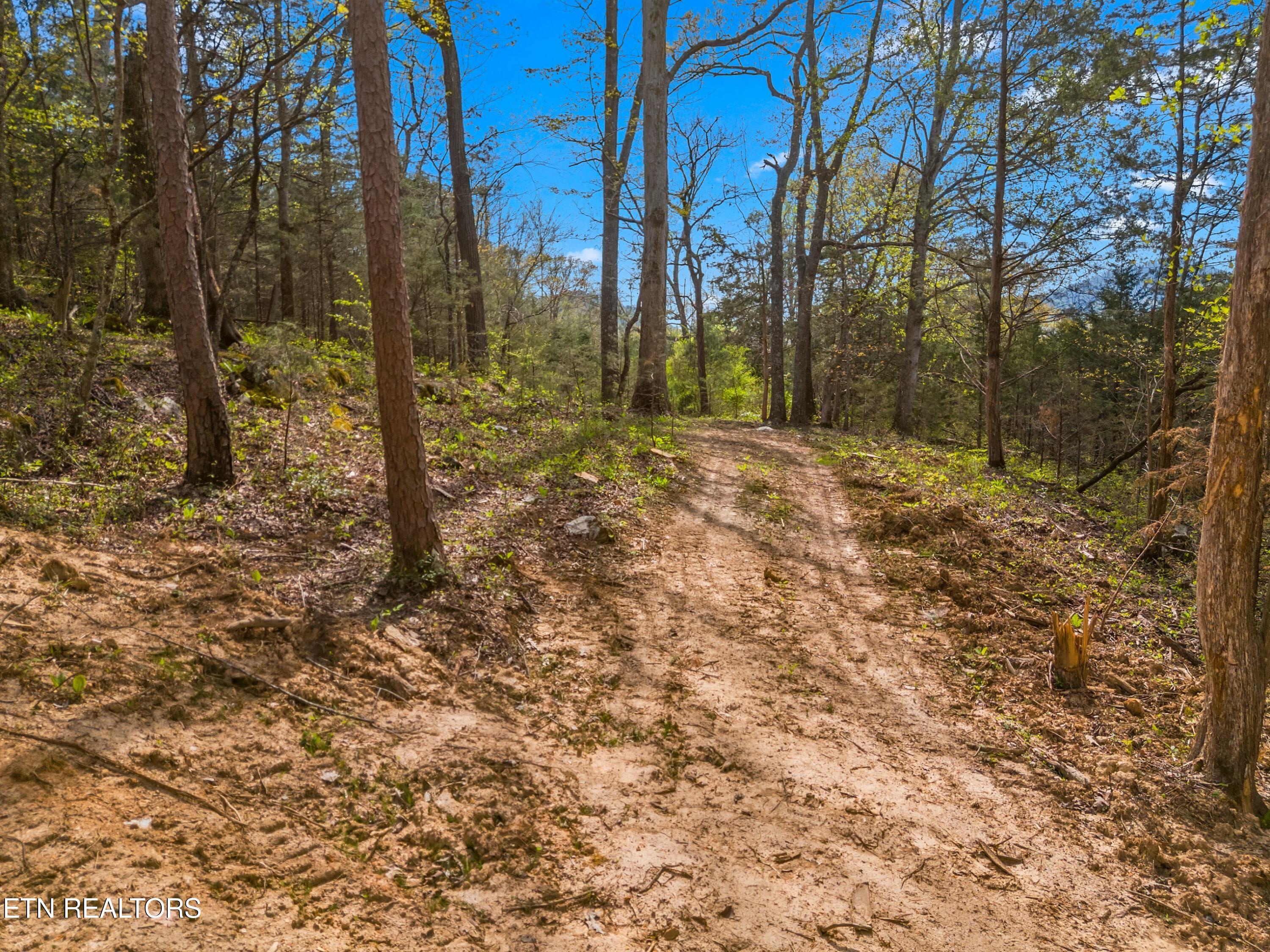 Bogard Road Newport, TN 37821 - Photo 22 of 38 019-BogardRoad-Cosby-TN-SMALL