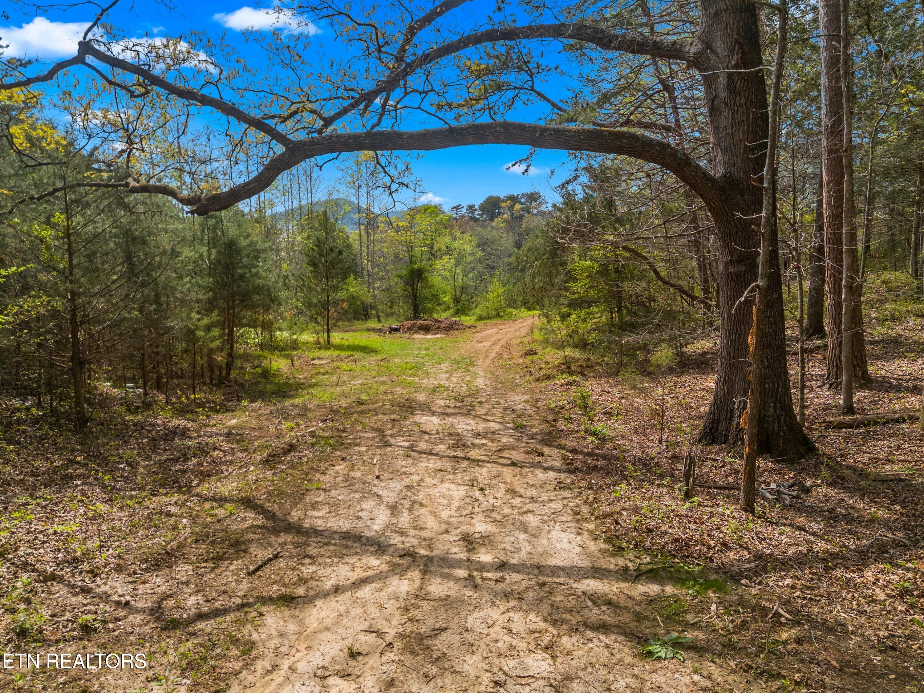 Bogard Road Newport, TN 37821 - Photo 23 of 38 020-BogardRoad-Cosby-TN-SMALL