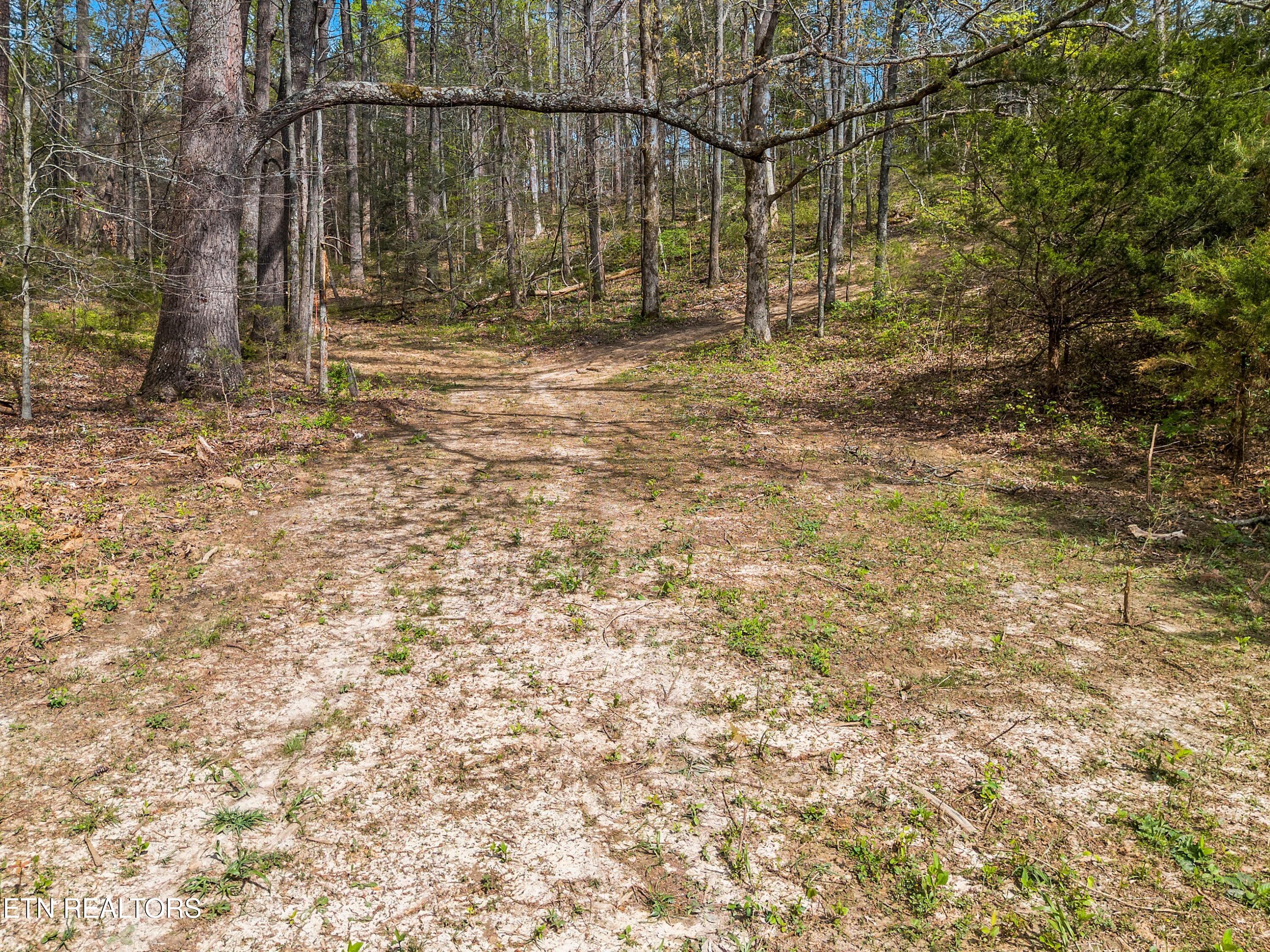 Bogard Road Newport, TN 37821 - Photo 24 of 38 021-BogardRoad-Cosby-TN-SMALL