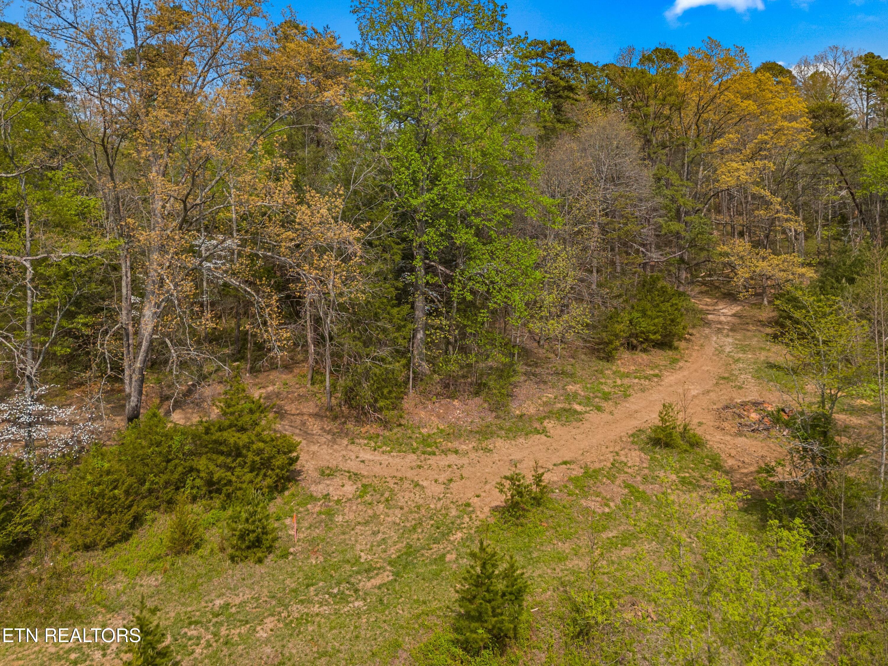 Bogard Road Newport, TN 37821 - Photo 27 of 38 028-BogardRoad-Cosby-TN-SMALL