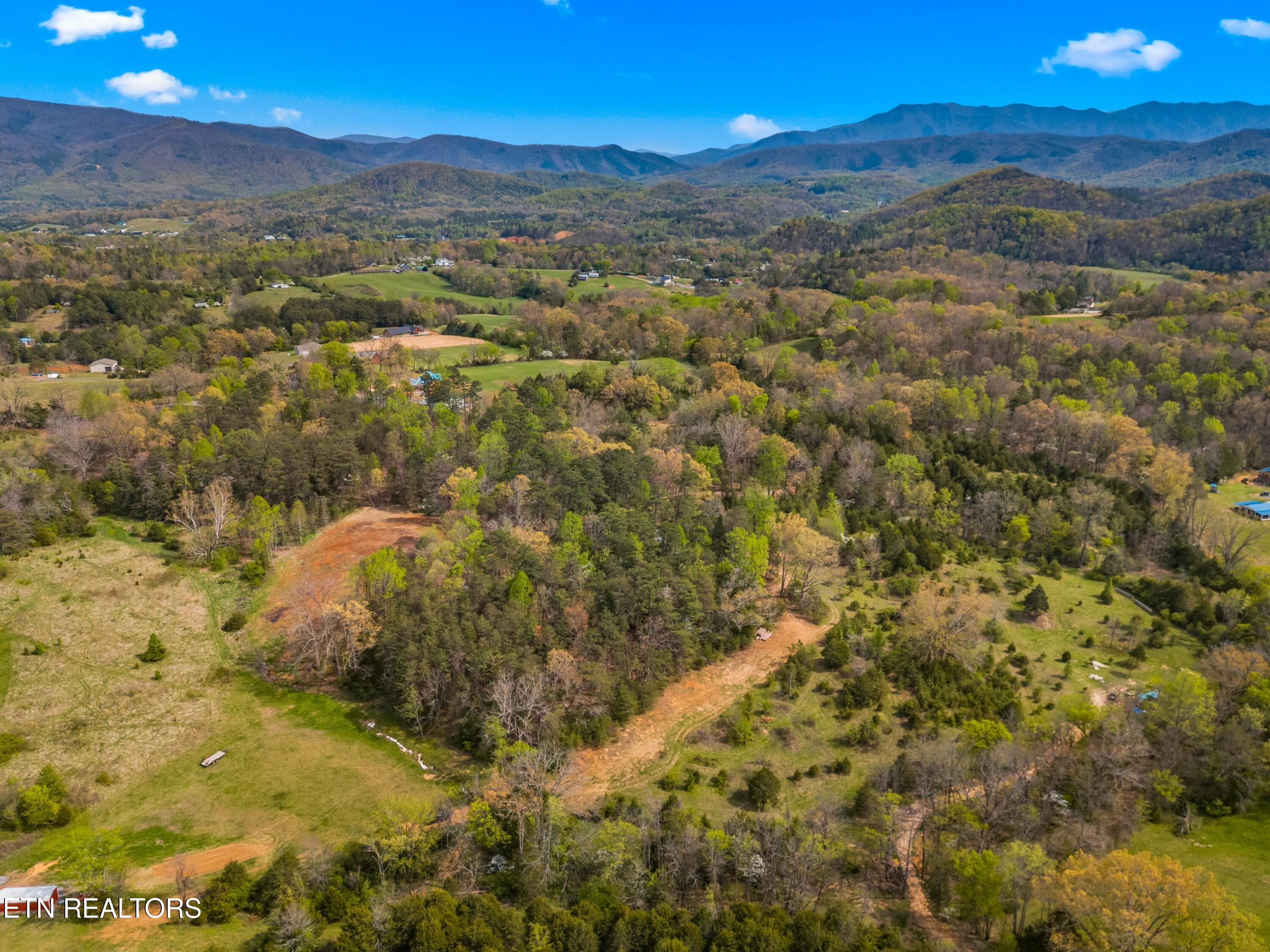 Bogard Road Newport, TN 37821 - Photo 28 of 38 031-BogardRoad-Cosby-TN-SMALL
