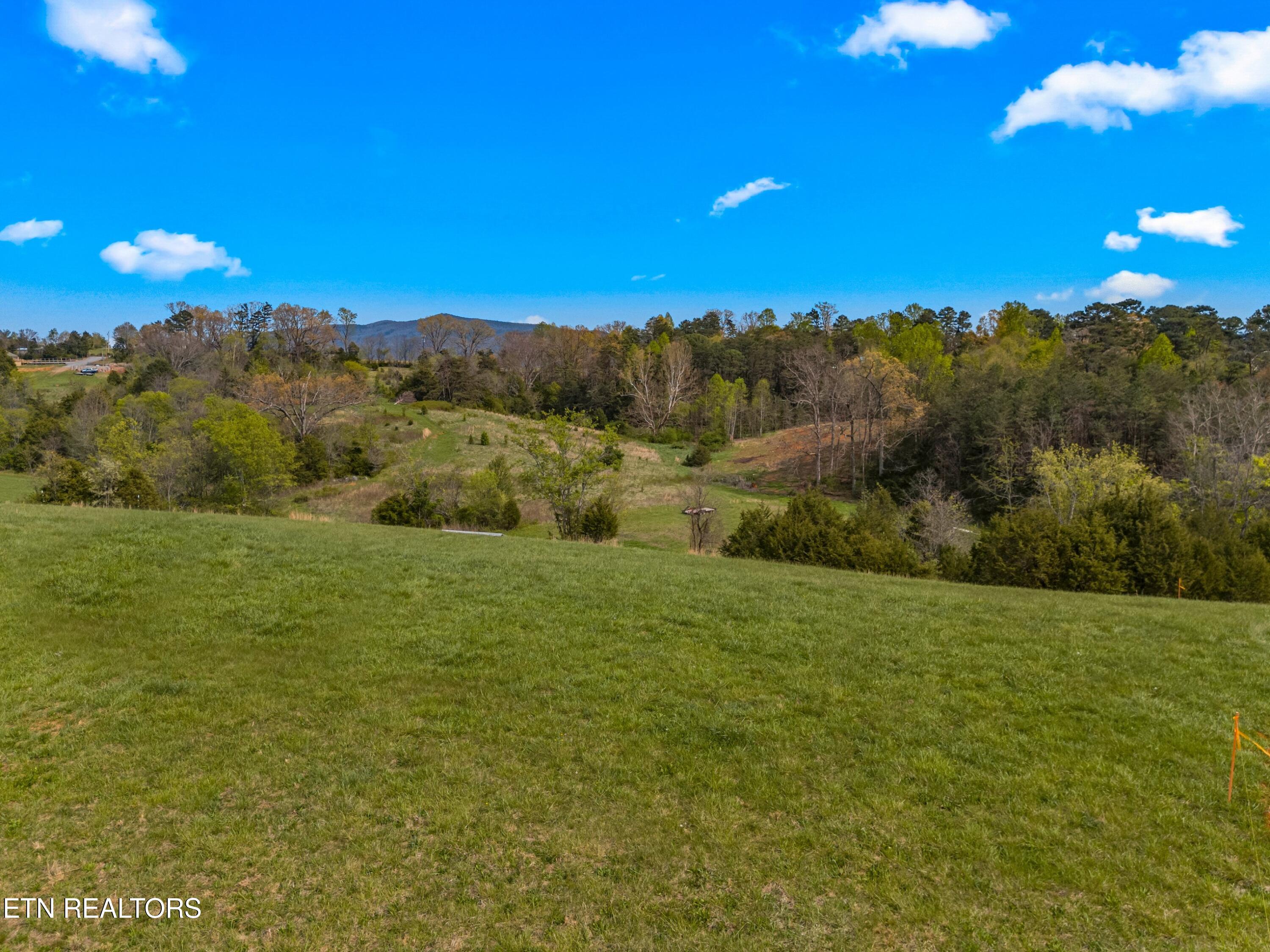 Bogard Road Newport, TN 37821 - Photo 3 of 38 033-BogardRoad-Cosby-TN-SMALL