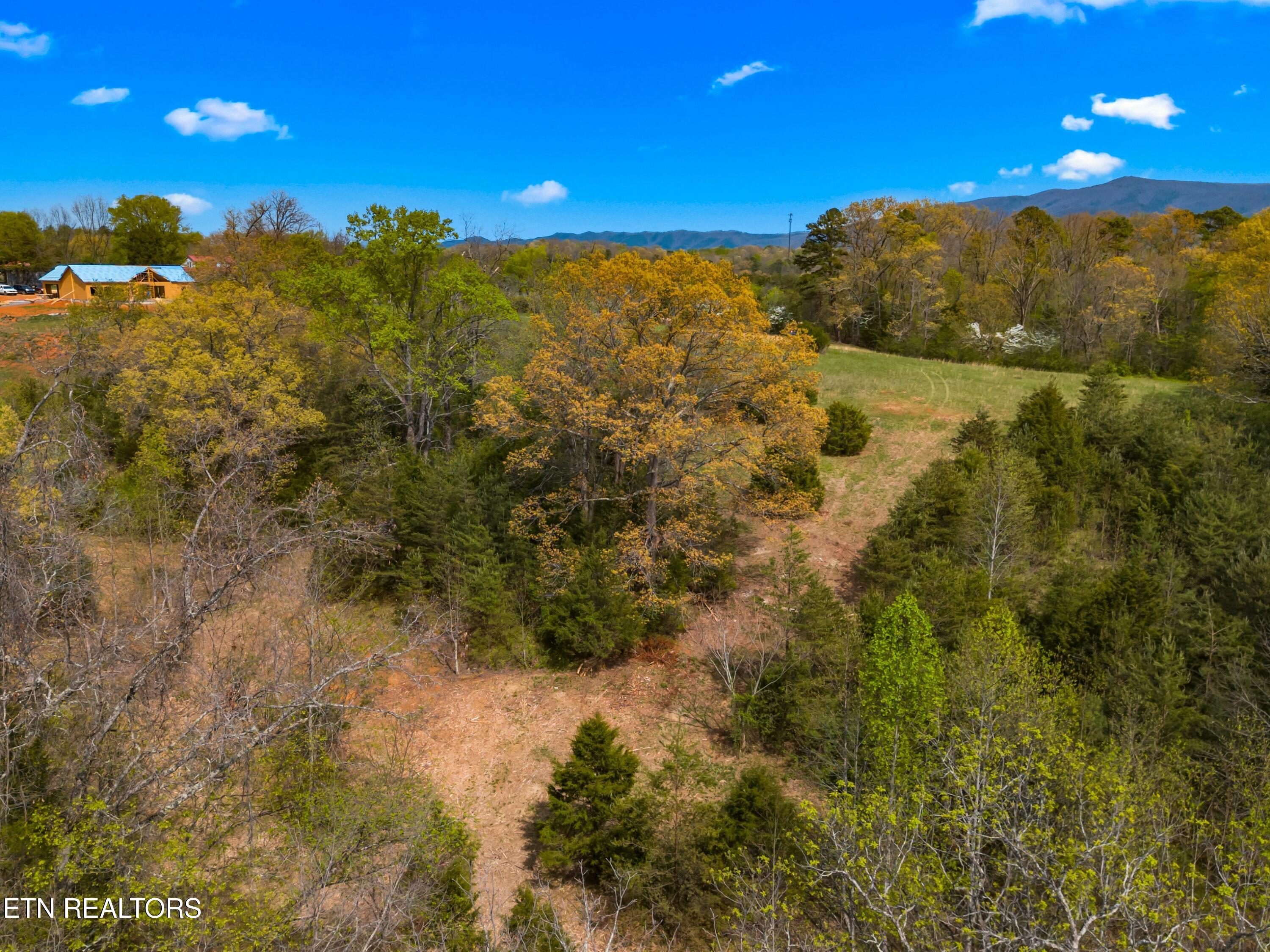 Bogard Road Newport, TN 37821 - Photo 33 of 38 014-BogardRoad-Cosby-TN-SMALL