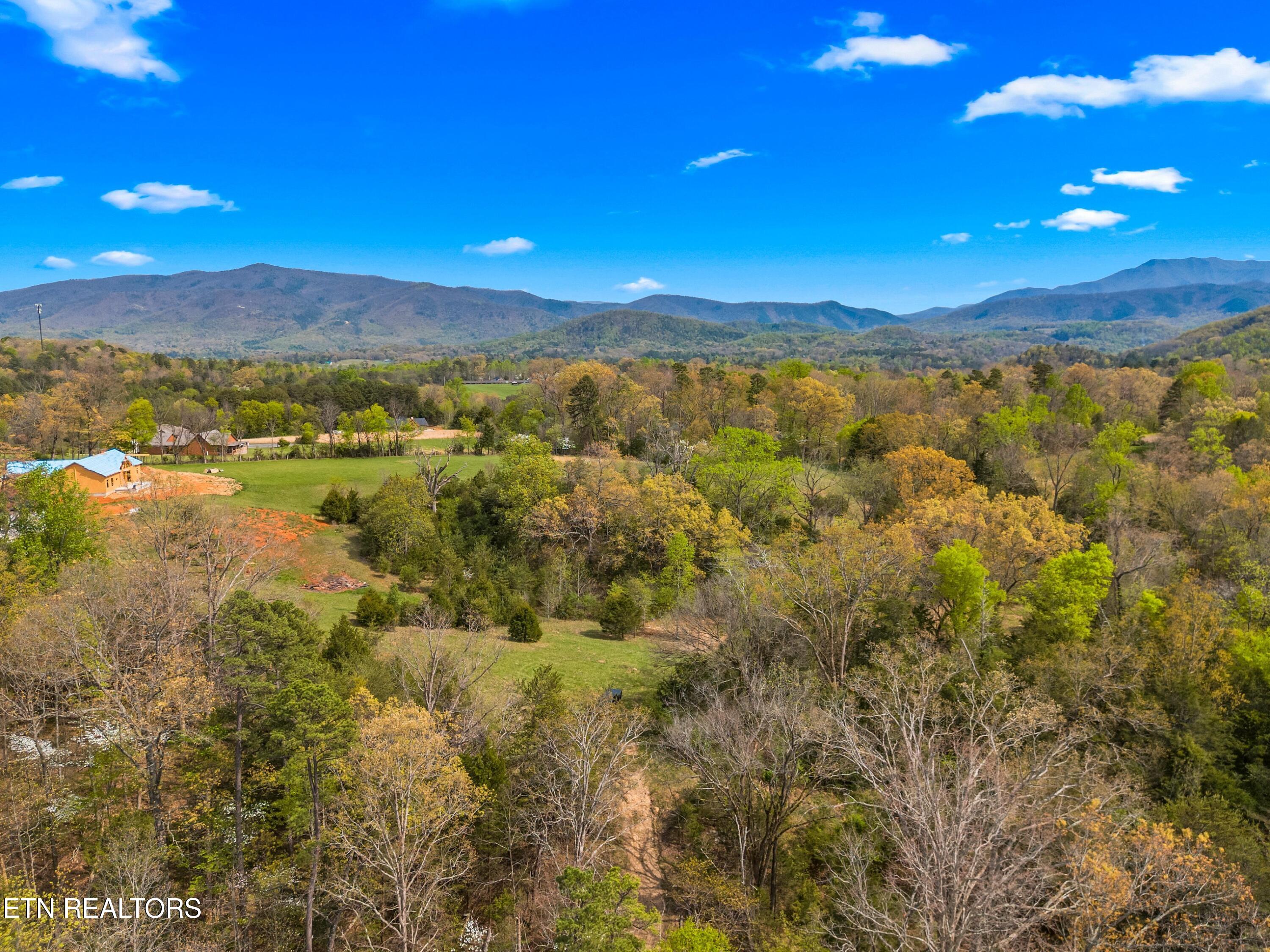 Bogard Road Newport, TN 37821 - Photo 34 of 38 022-BogardRoad-Cosby-TN-SMALL