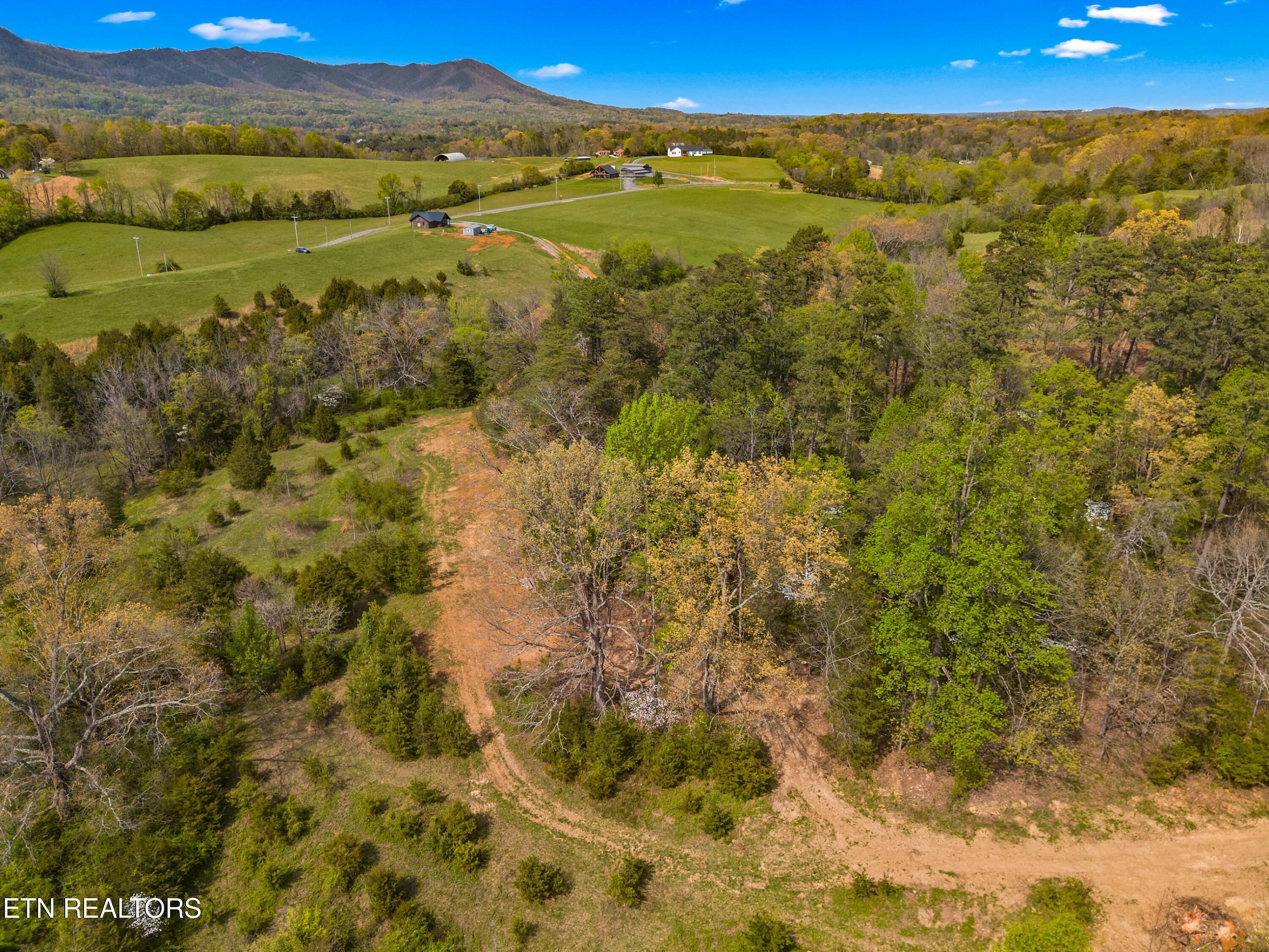 Bogard Road Newport, TN 37821 - Photo 35 of 38 023-BogardRoad-Cosby-TN-SMALL