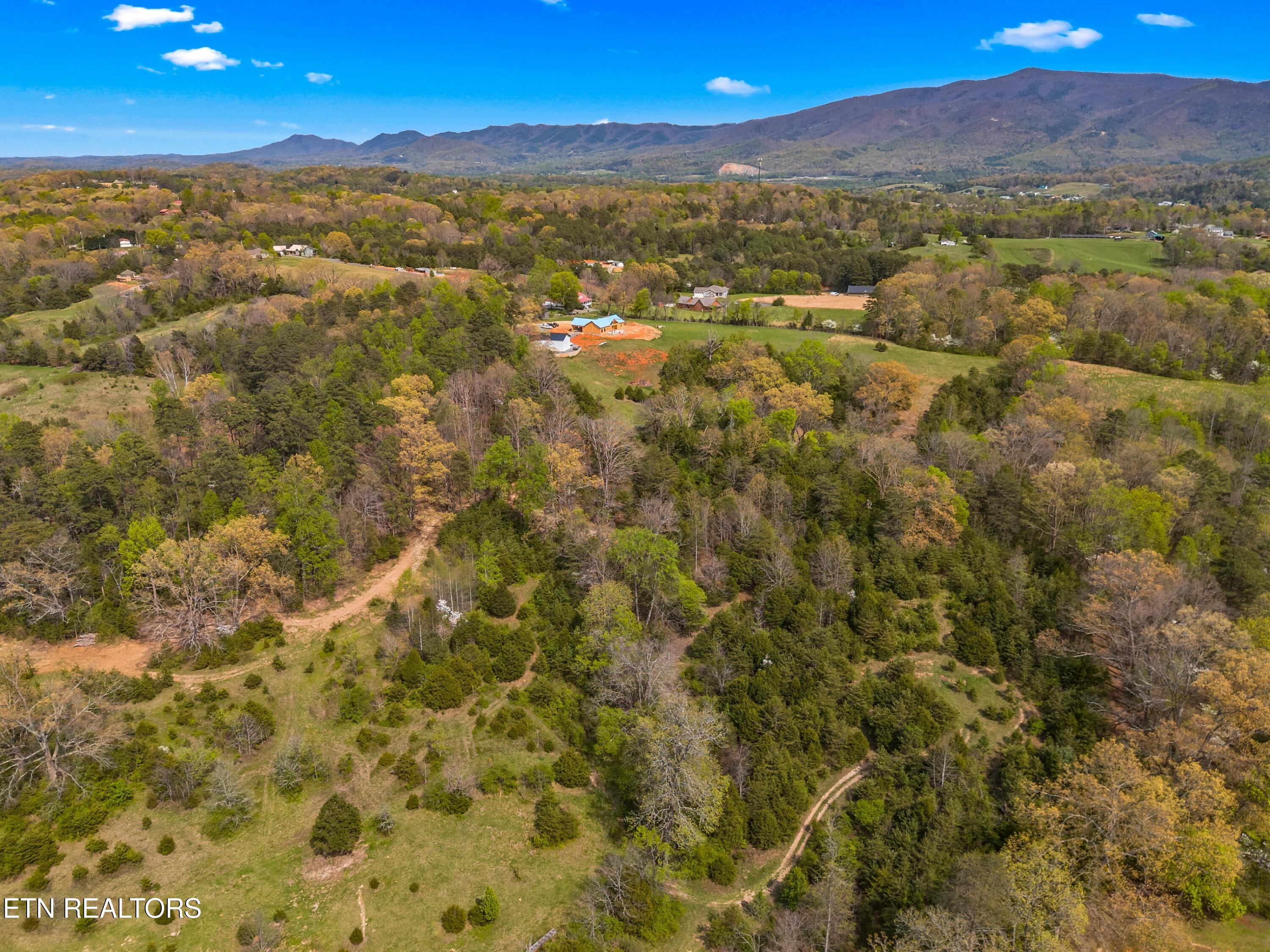 Bogard Road Newport, TN 37821 - Photo 36 of 38 024-BogardRoad-Cosby-TN-SMALL