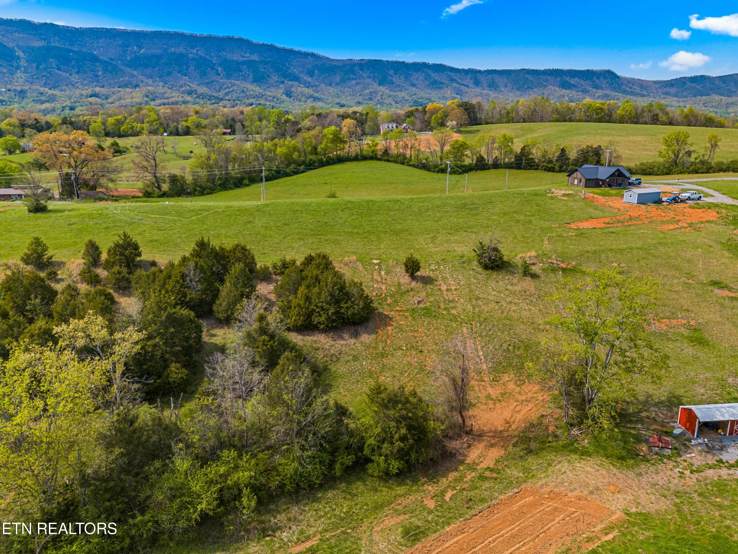 Bogard Road Newport, TN 37821 - Photo 4 of 38 032-BogardRoad-Cosby-TN-SMALL