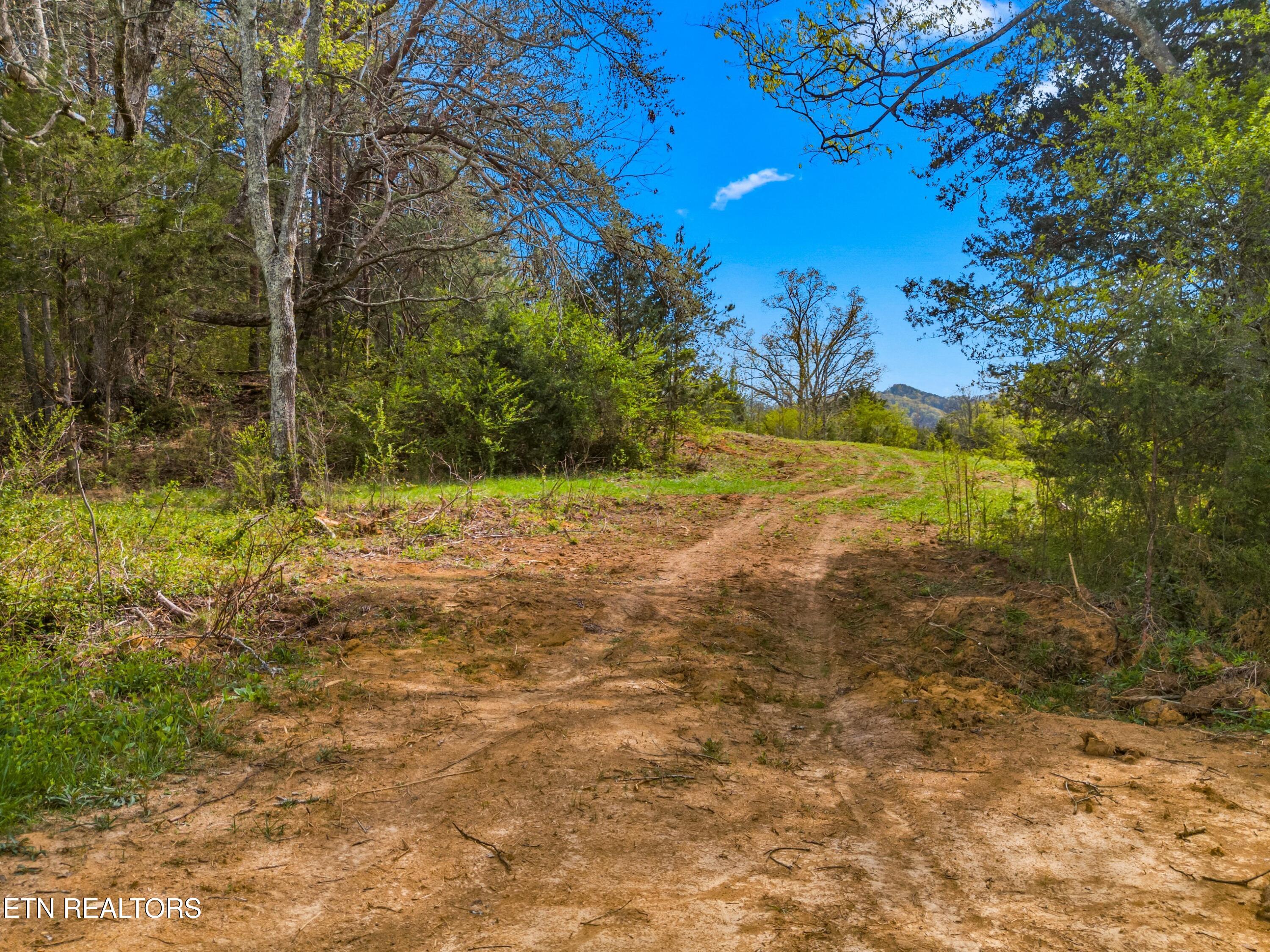 Bogard Road Newport, TN 37821 - Photo 5 of 38 029-BogardRoad-Cosby-TN-SMALL