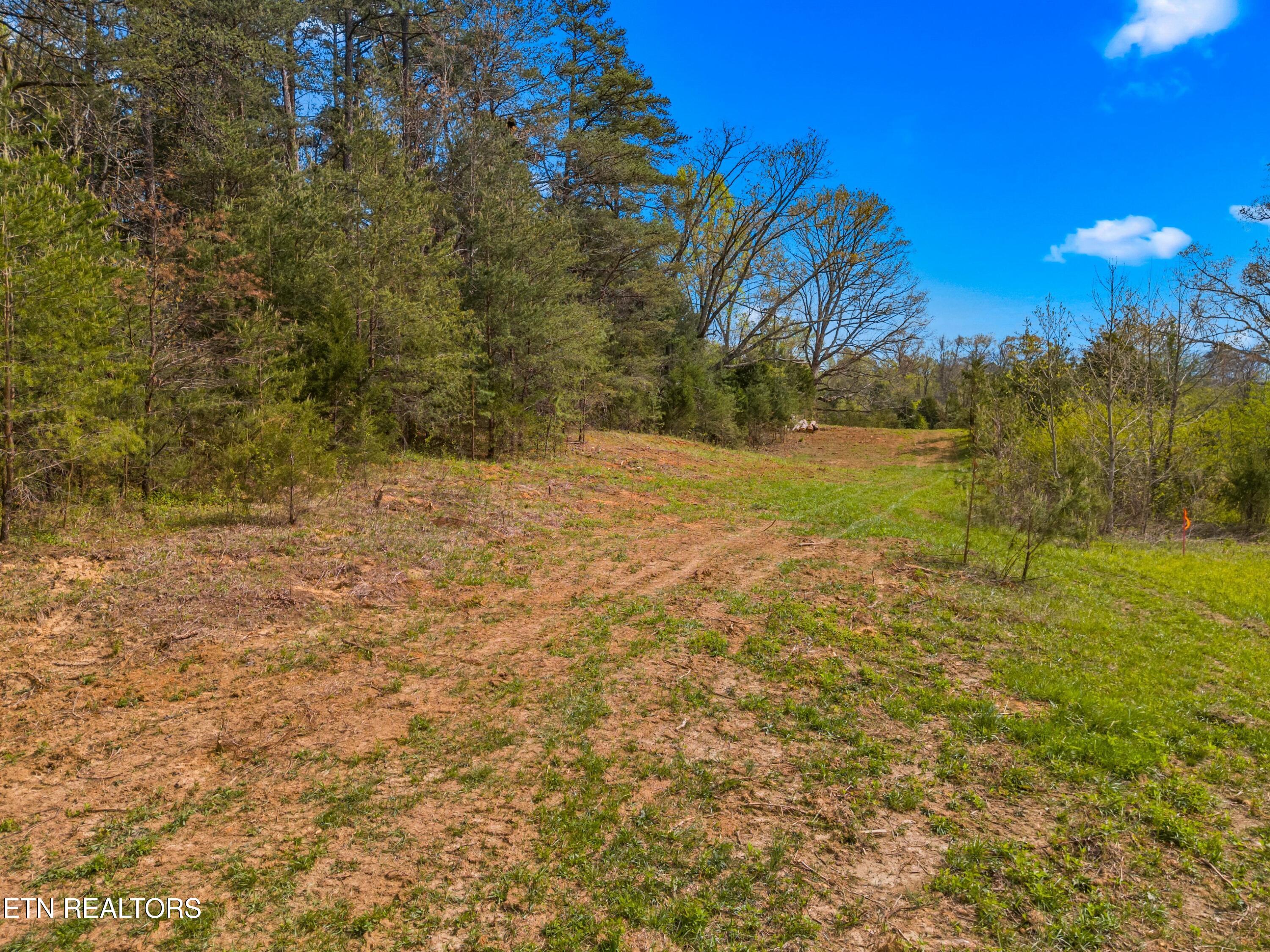 Bogard Road Newport, TN 37821 - Photo 6 of 38 030-BogardRoad-Cosby-TN-SMALL