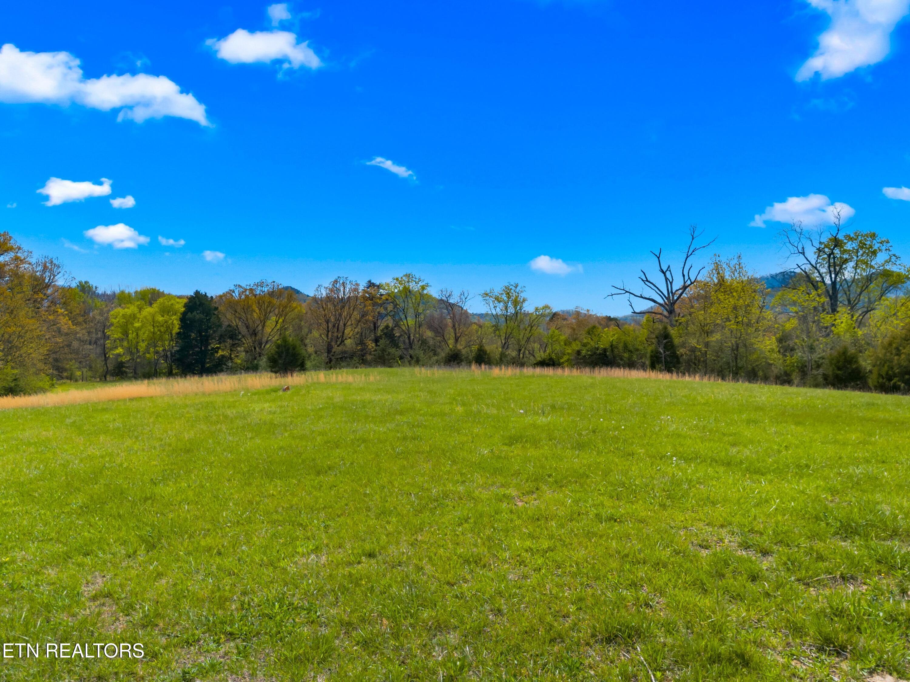 Bogard Road Newport, TN 37821 - Photo 7 of 38 002-BogardRoad-Cosby-TN-SMALL