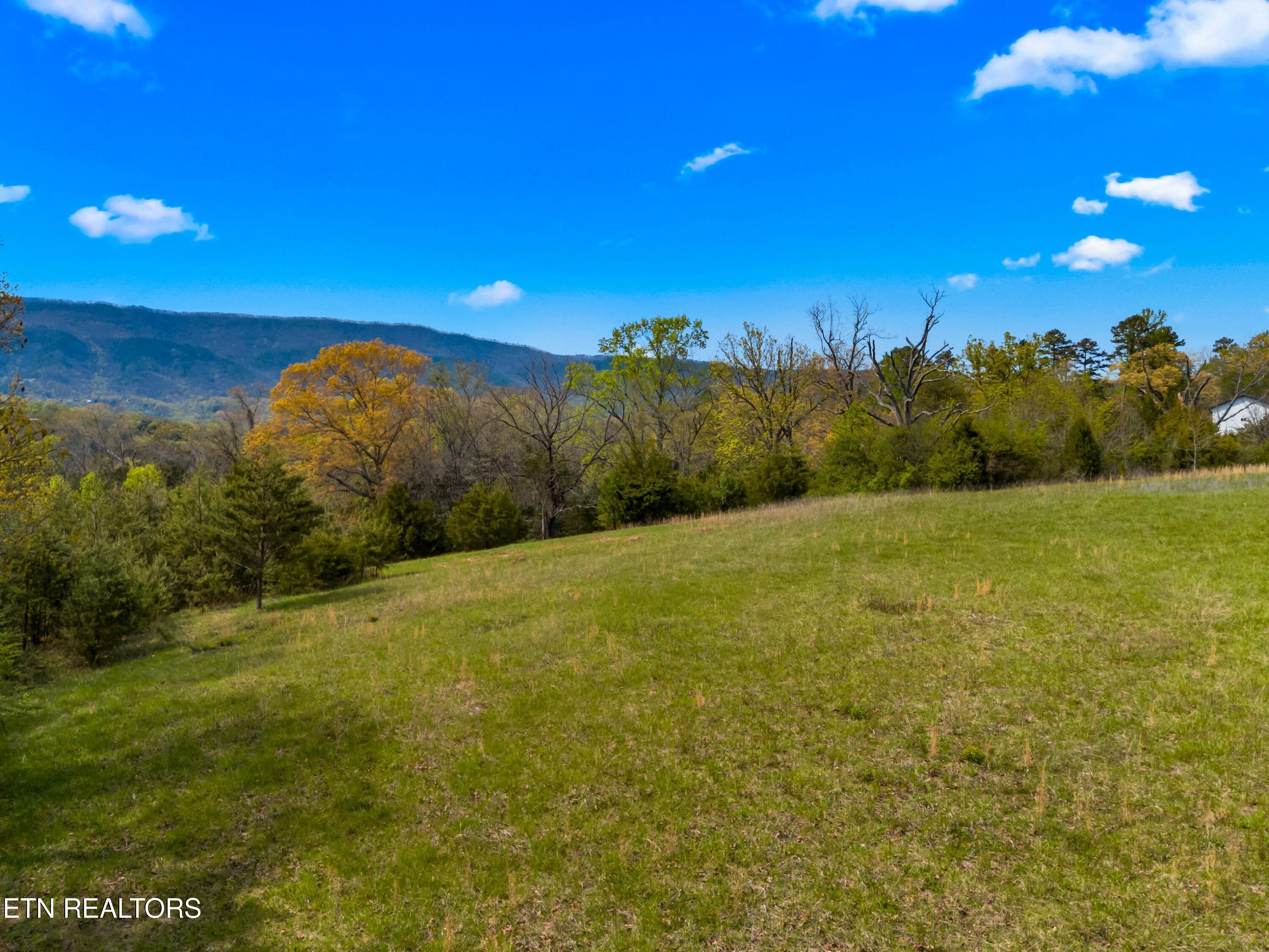Bogard Road Newport, TN 37821 - Photo 8 of 38 005-BogardRoad-Cosby-TN-SMALL