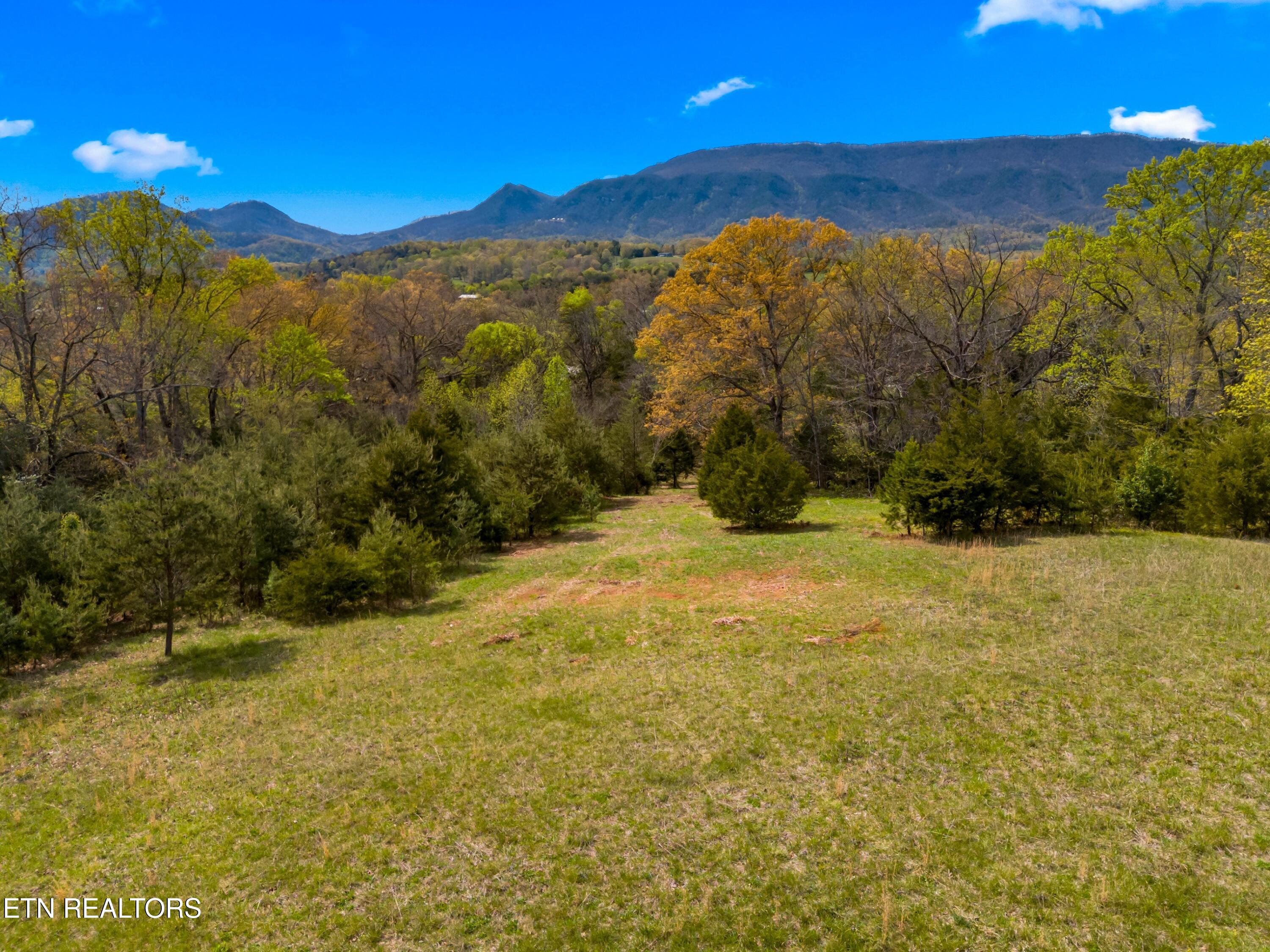 Bogard Road Newport, TN 37821 - Photo 9 of 38 008-BogardRoad-Cosby-TN-SMALL