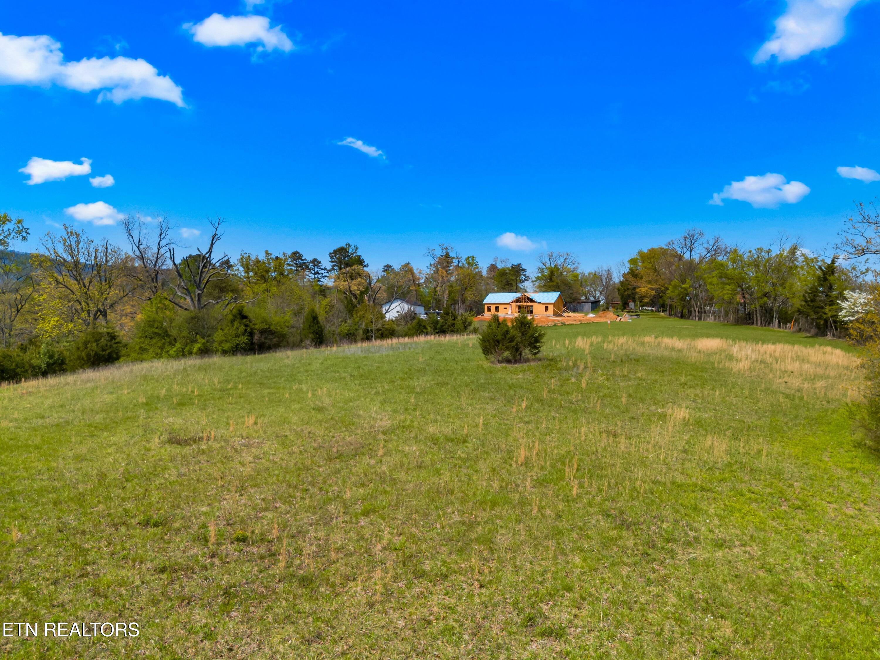 Bogard Road Newport, TN 37821 - Photo 10 of 38 004-BogardRoad-Cosby-TN-SMALL