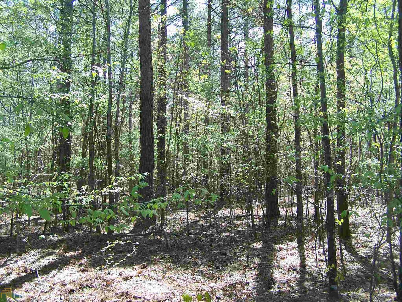 0 Marshall Road, Unit LOT 3C Buckhead, GA 30625 - Photo 1 of 1