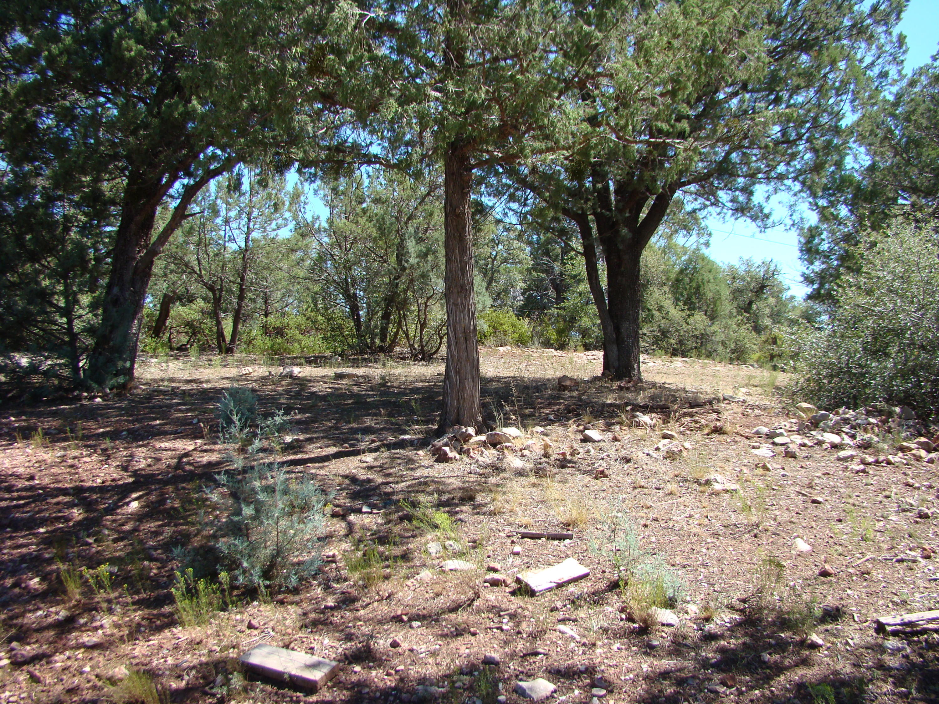17033 Fire Control Road Payson, AZ 85541 - Photo 17 of 28