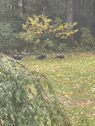 $799,900 | 5502 South County Road 625 West, Reelsville, IN 46171