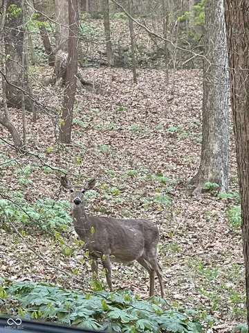 $799,900 | 5502 South County Road 625 West, Reelsville, IN 46171