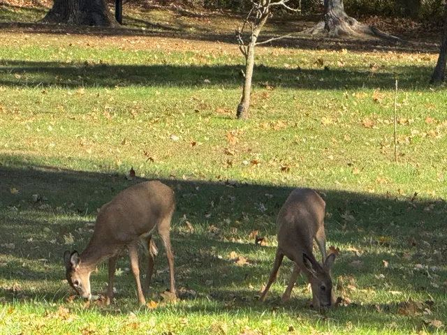 $799,900 | 5502 South County Road 625 West, Reelsville, IN 46171