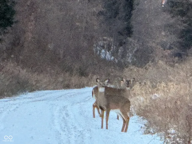 $799,900 | 5502 South County Road 625 West, Reelsville, IN 46171