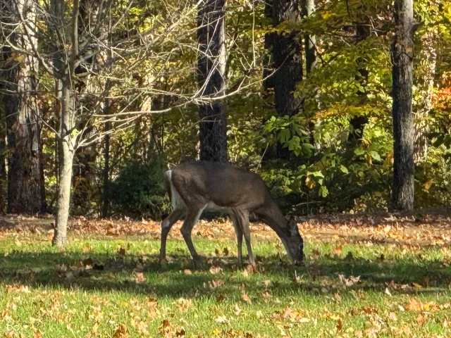 $799,900 | 5502 South County Road 625 West, Reelsville, IN 46171