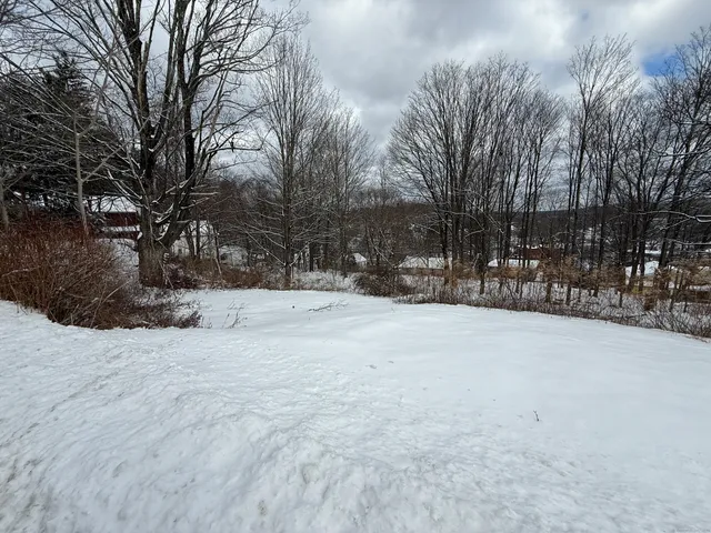a street view covered with snow