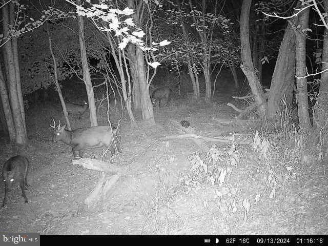 Beaver Neck Village Road Cambridge, MD 21613 - Photo 48 of 52 Gallery Image 48