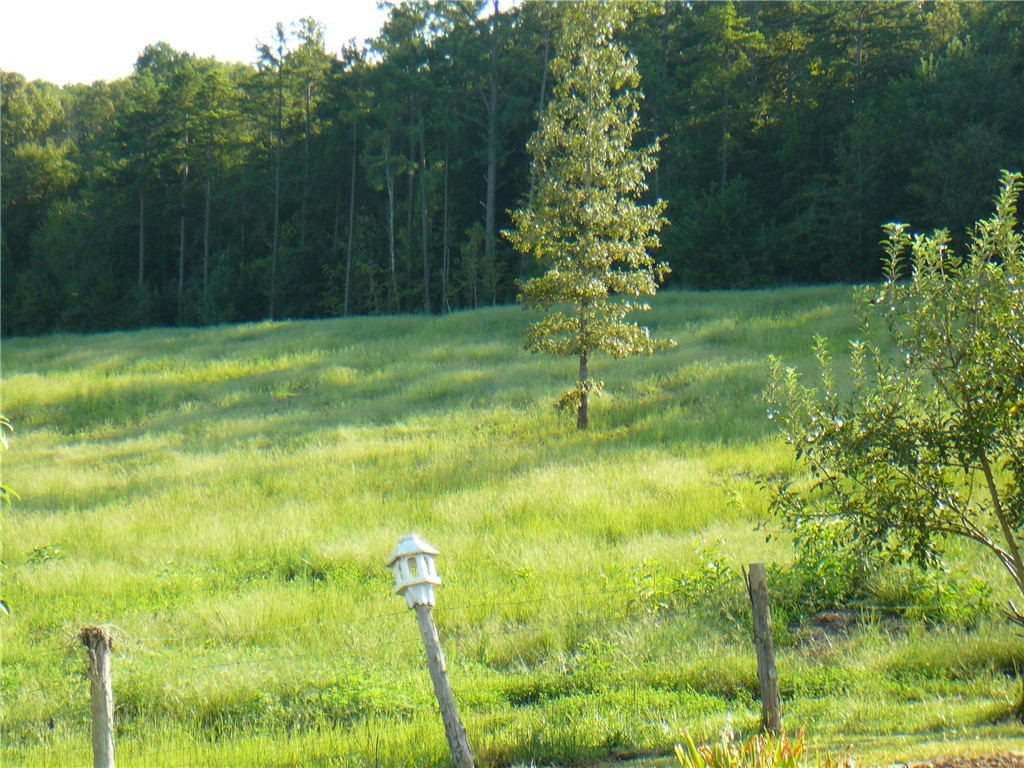 1101 Shackleburg Road Anderson, SC 29621 - Photo 11 of 30