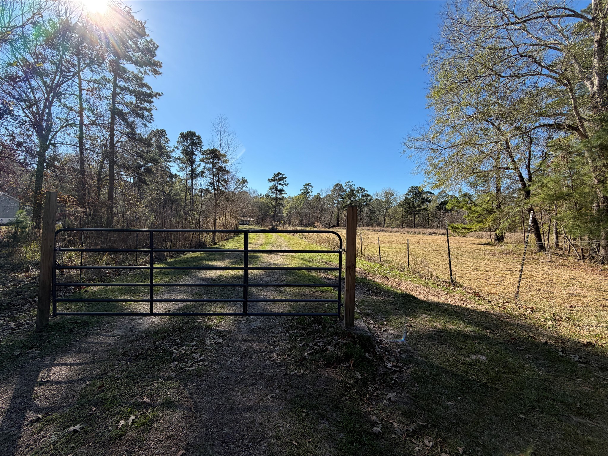 a view of a yard with wooden fence