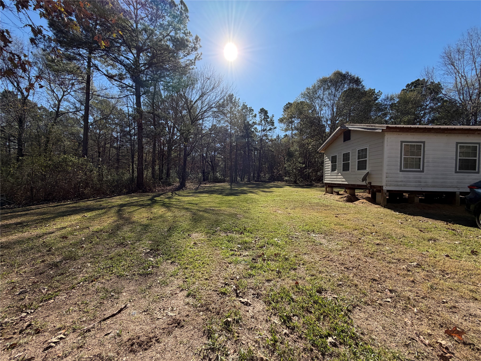 397 County Road 2117 Cleveland, TX 77327 - Photo 43 of 46 a view of a house with a yard and tree