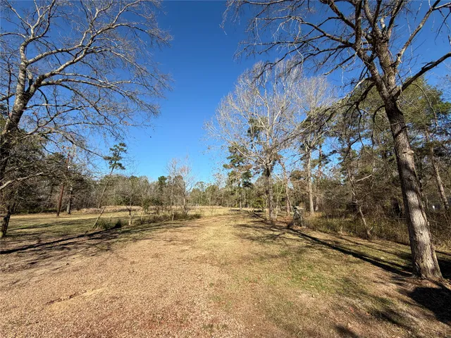 a view of dirt yard with a large tree