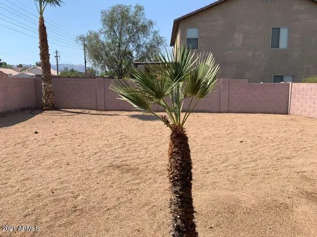 a view of a palm trees front of house
