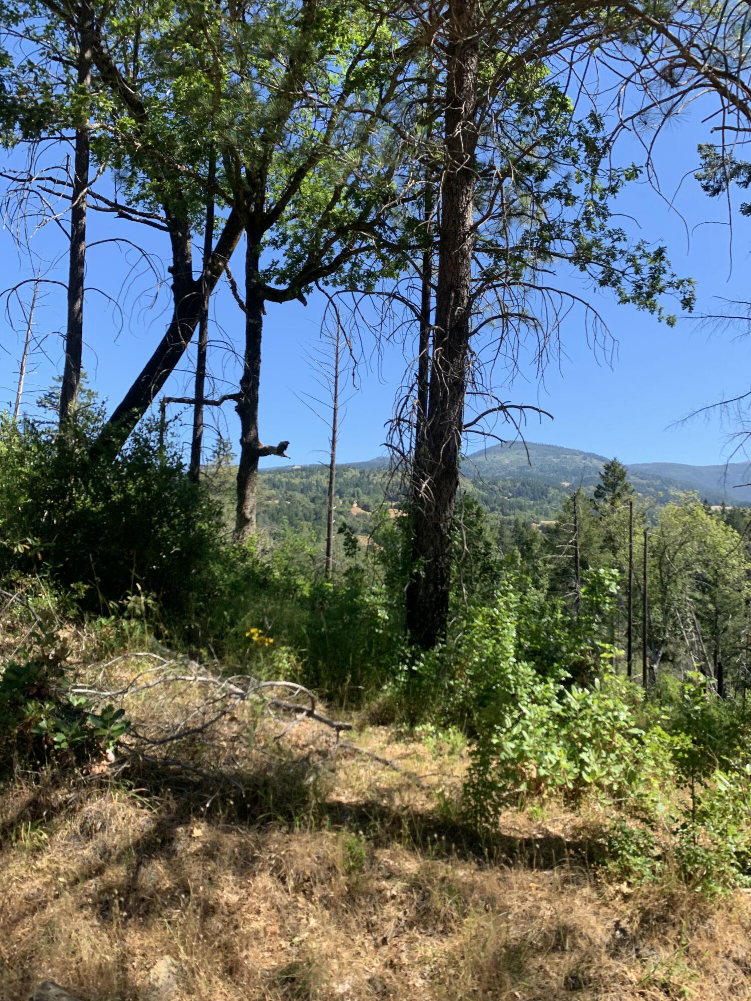 160-acres Alderpoint Road Alderpoint, CA 95511 - Photo 14 of 16