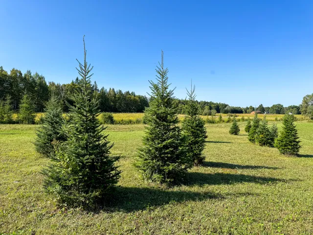 $375,000 | 1350 Masardis Road, Masardis, ME 04732