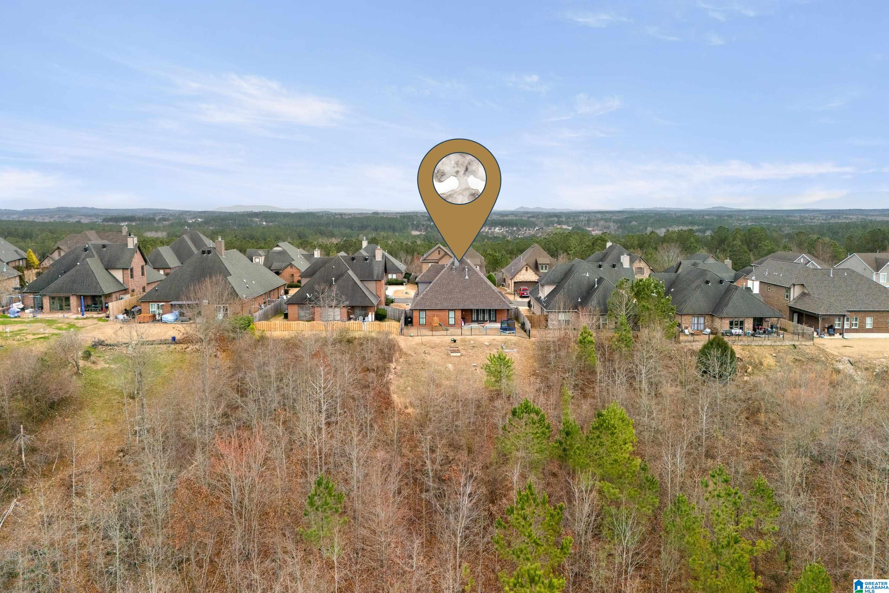 3087 Chelsea Park Ridge Chelsea, AL 35043 - Photo 43 of 64