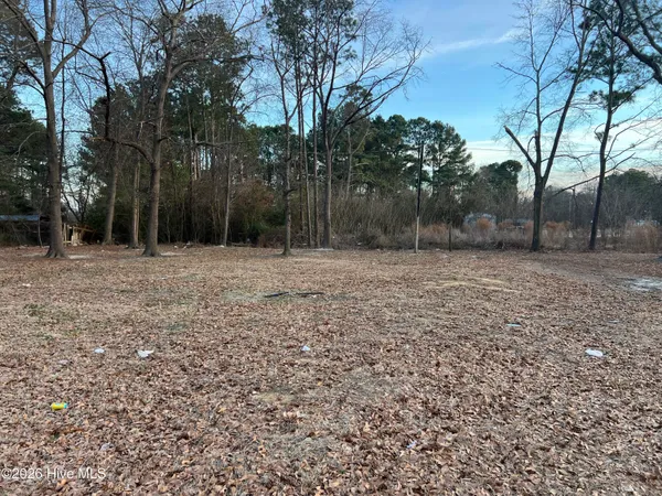 $39,900 | 100 Hopesway Drive, Dudley, NC 28333