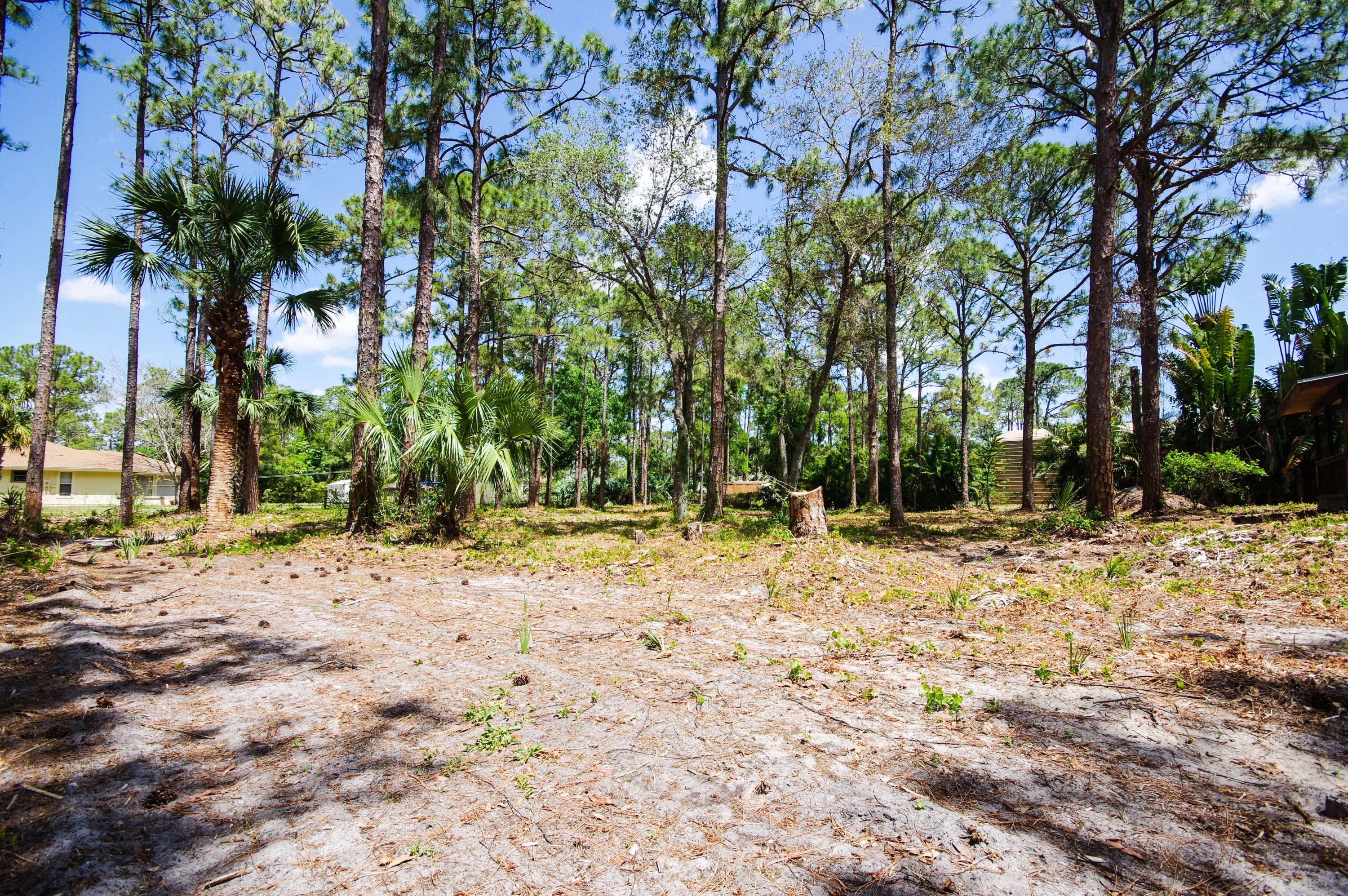 12575 165th Road North Jupiter, FL 33478 - Photo 19 of 28 IMGP0996