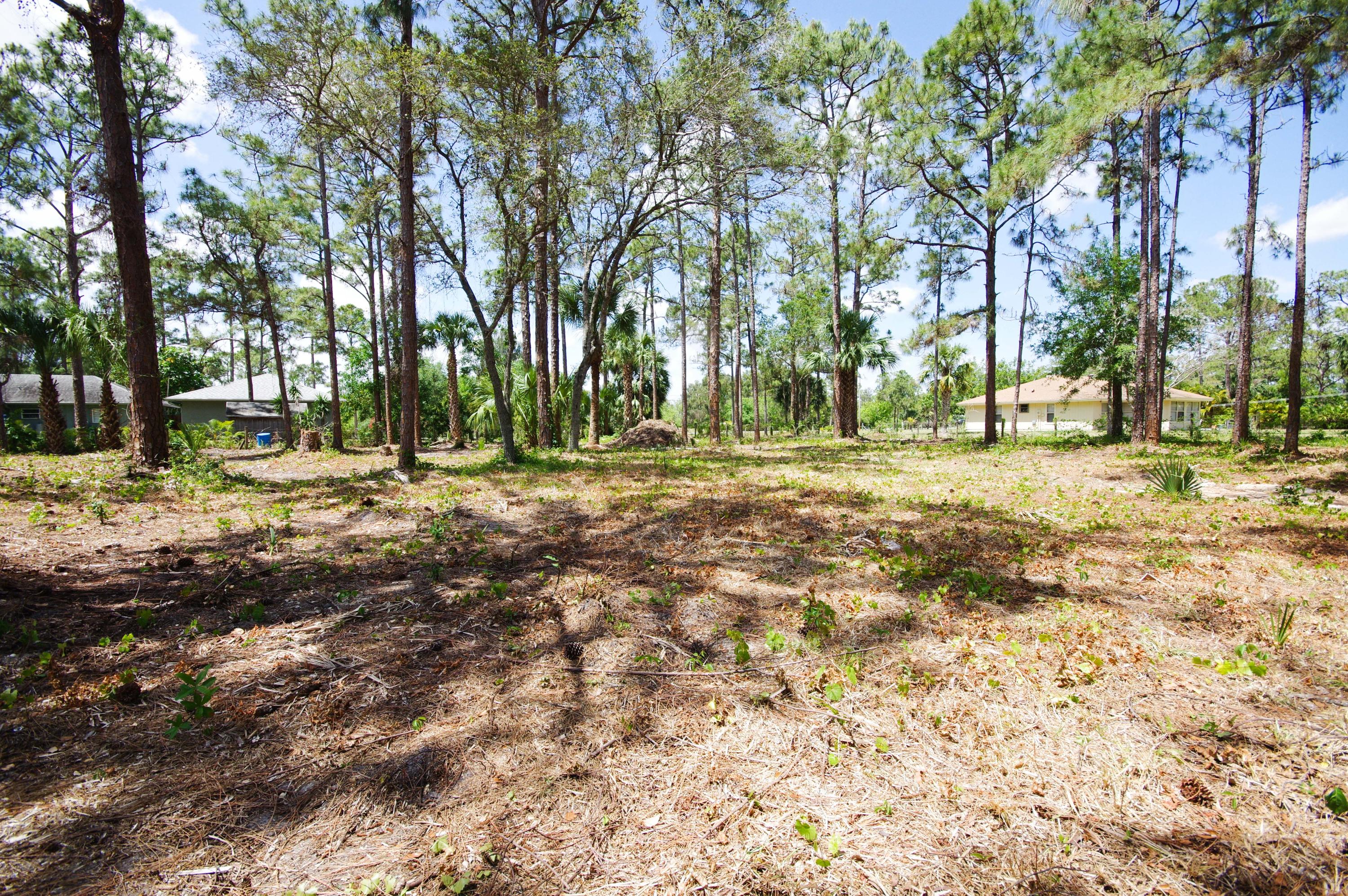 12575 165th Road North Jupiter, FL 33478 - Photo 20 of 28 IMGP0993