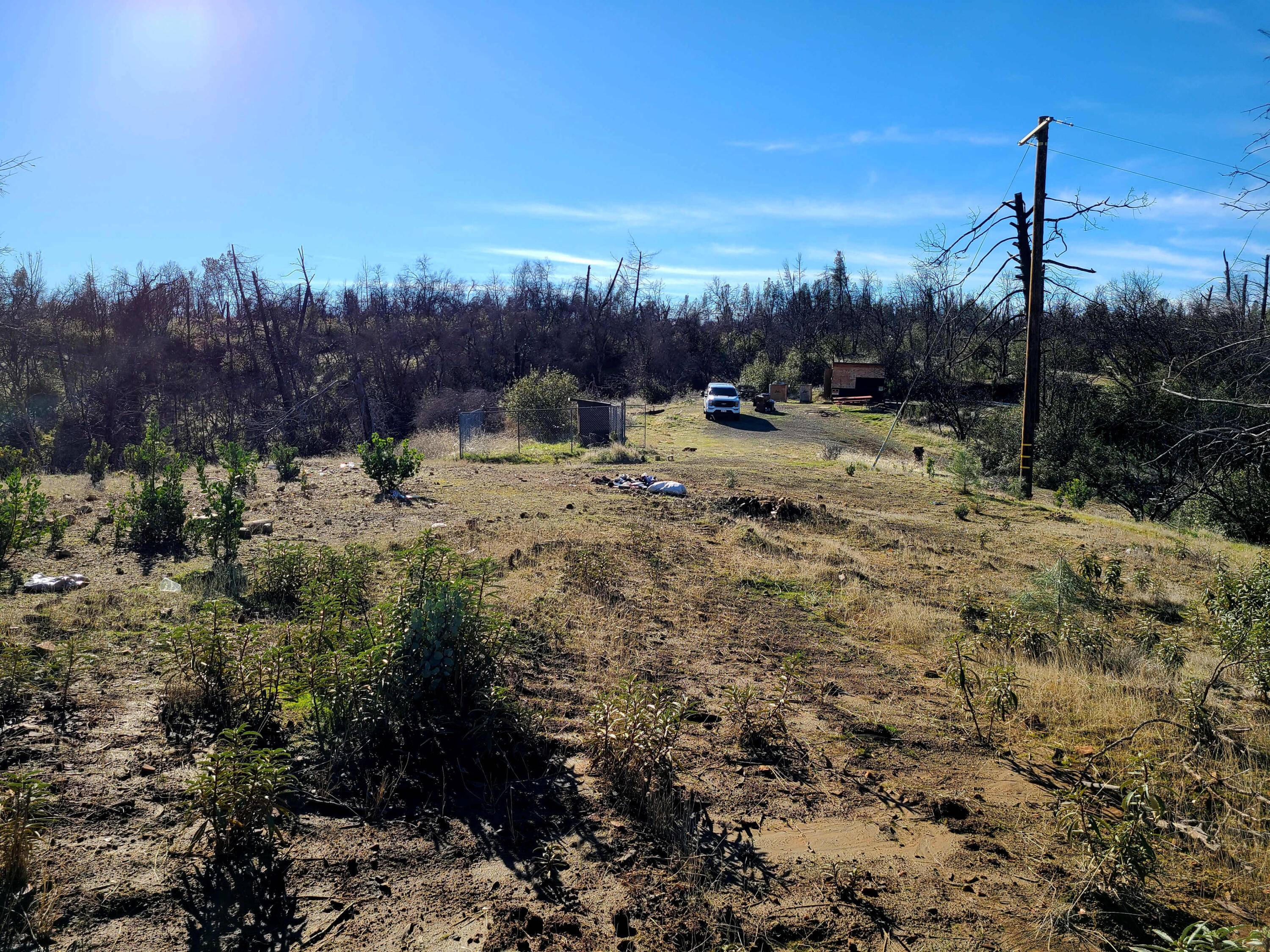 6917 Placer Road Redding, CA 96001 - Photo 1 of 28 a view of a dry yard with trees
