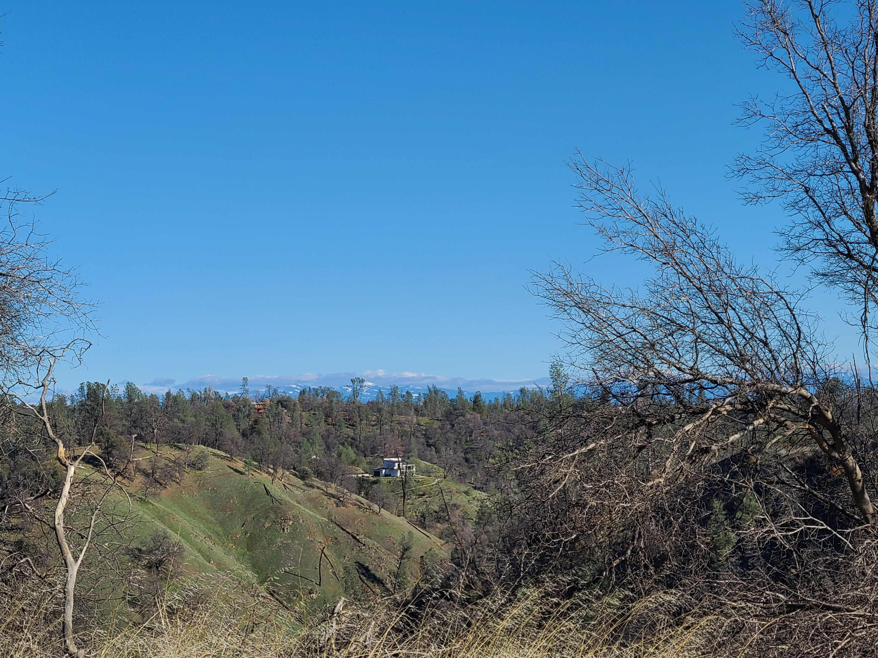 6917 Placer Road Redding, CA 96001 - Photo 2 of 28 a view of a dry yard with trees in the background