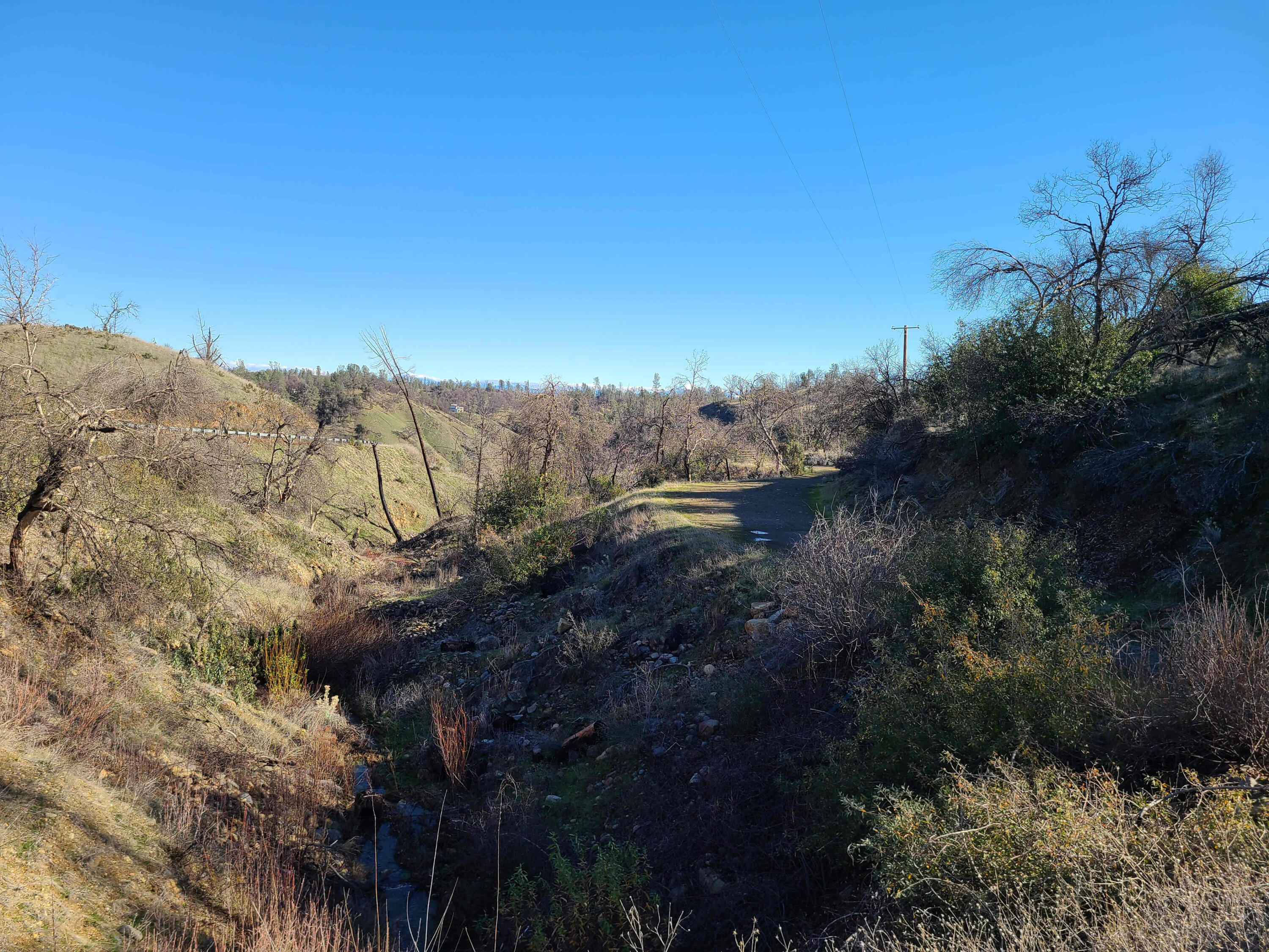 6917 Placer Road Redding, CA 96001 - Photo 24 of 28 a view of a yard