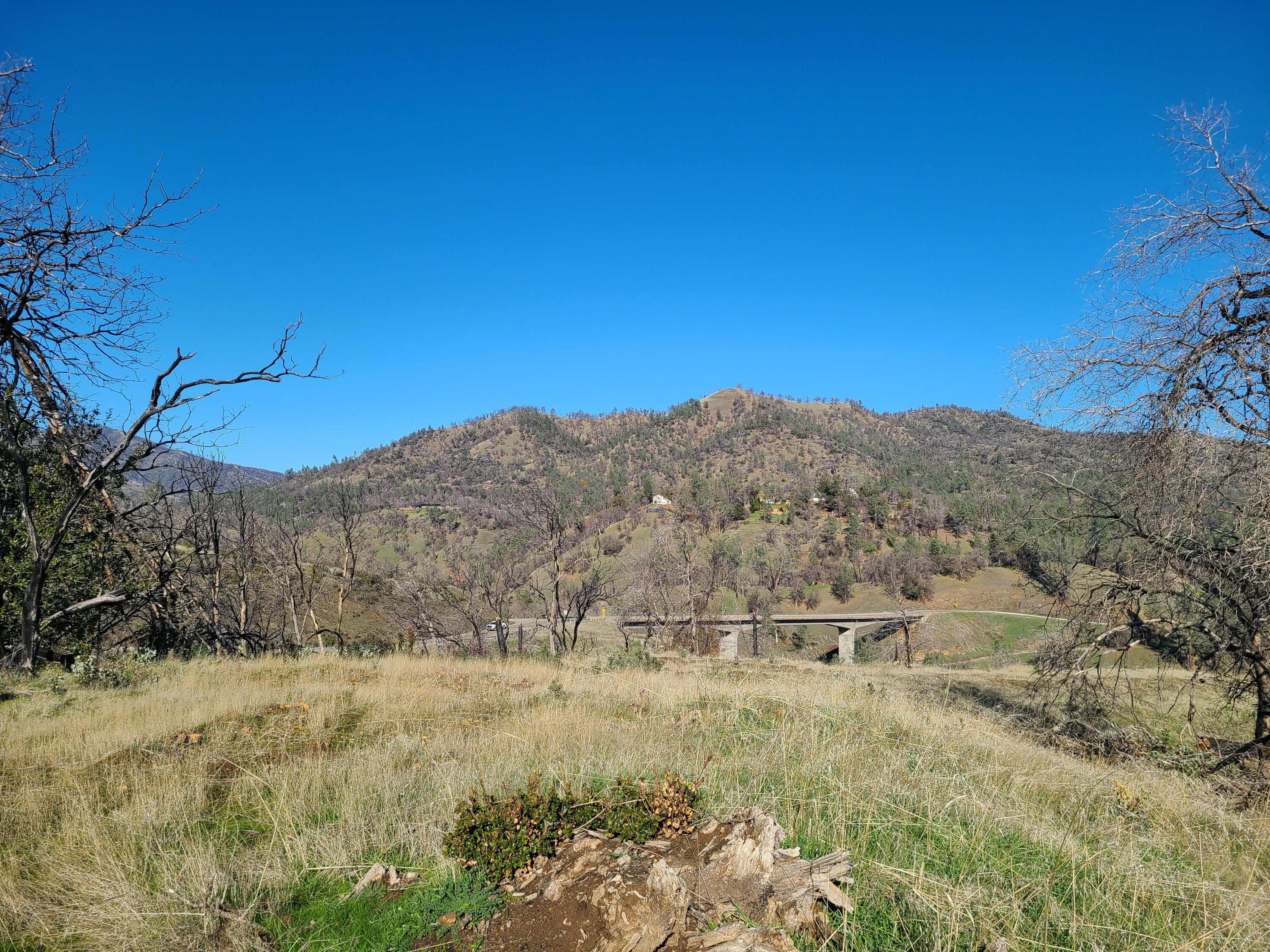 6917 Placer Road Redding, CA 96001 - Photo 3 of 28 a view of a dry yard with green space