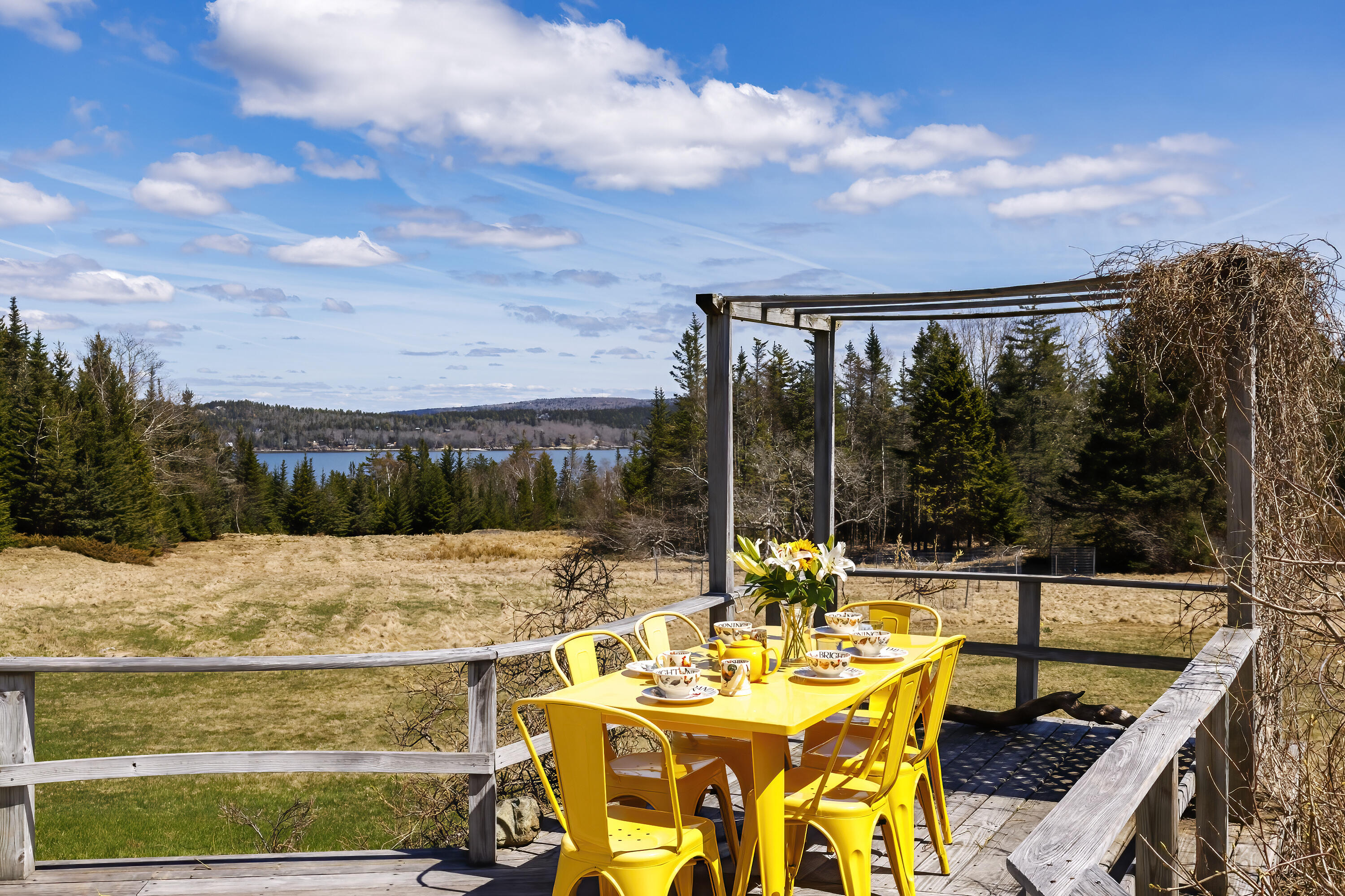 465 Eggemoggin Road Little Deer Isle, ME 04650 - Photo 4 of 67 69- 465 Eggemoggin Road HiRes-DTP (1)