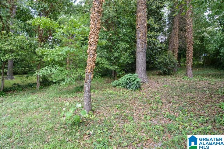 4021 Montclair Road Birmingham, AL 35213 - Photo 27 of 27