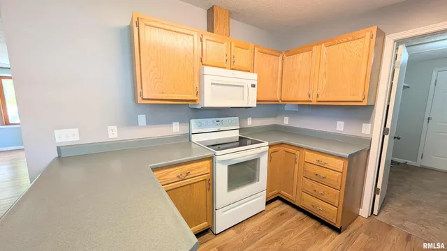 $232,900 | 356 South Maple Street, Farmington, IL 61531