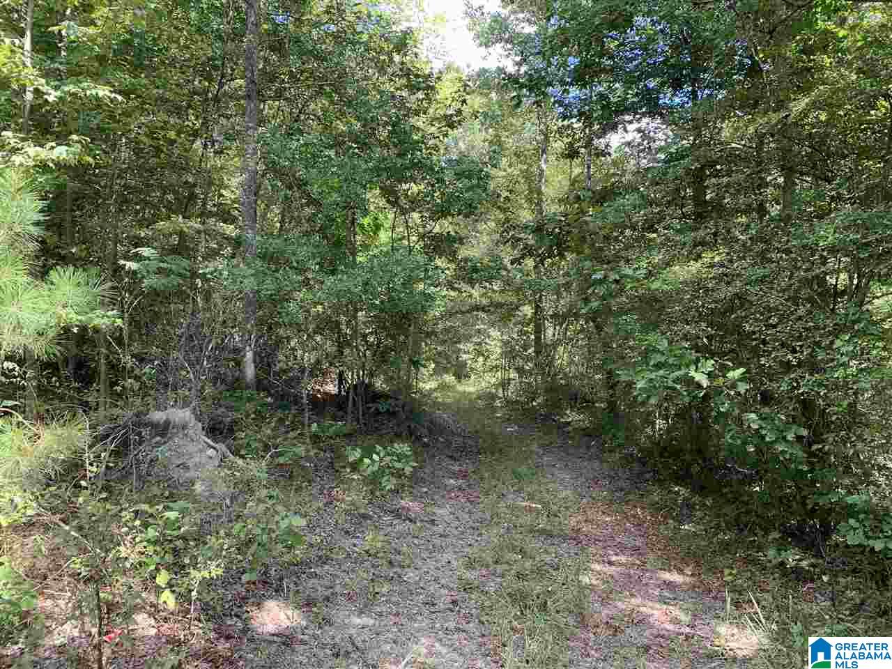 Mckesie Street, Unit 40 Riverside, AL 35135 - Photo 18 of 24