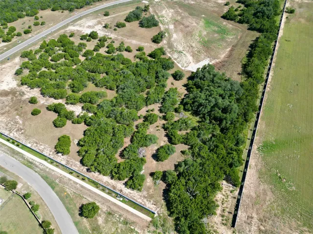 a view of a garden with a plant