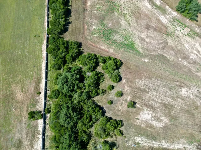 a view of a yard with a flower plants