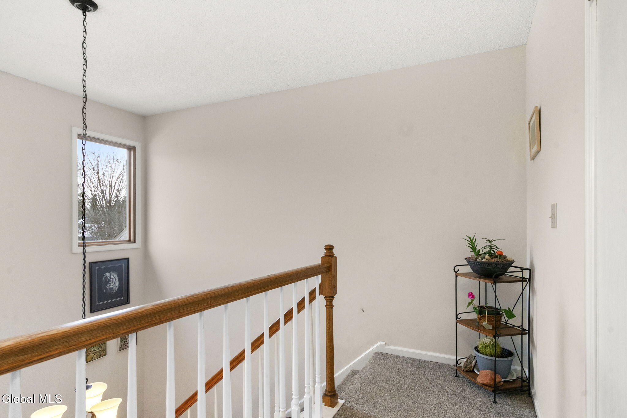 5 York Road Bethlehem, NY 12077 - Photo 17 of 47 36-web-or-mls-5-york-rd